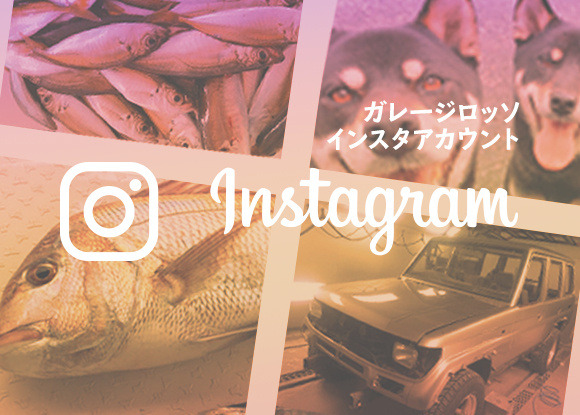 インスタグラム