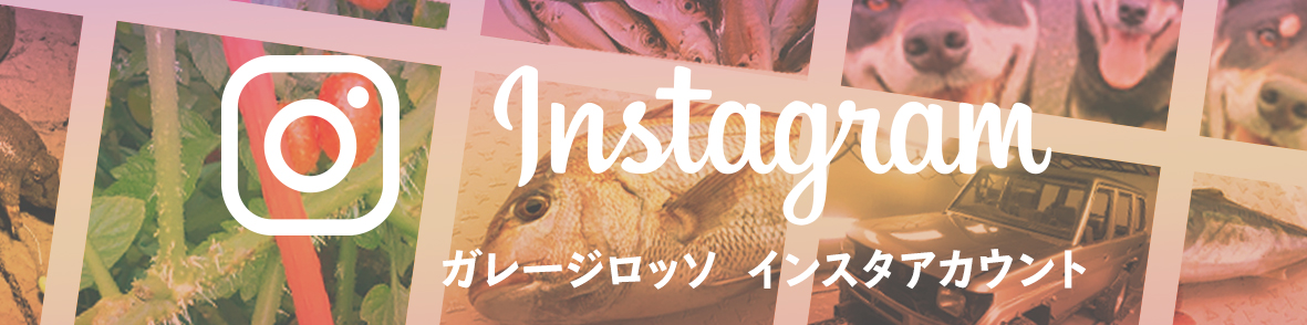 インスタグラム